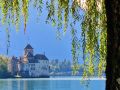 img 20230920 144234