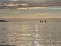 img 20230920 144234
