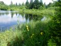 sommer 20130717 1532411095