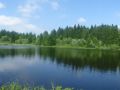 sommer 20130717 1677112444