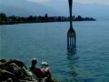 sommer 20130717 2006039820
