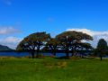 the sunnyside of ireland 20130611 1002478768