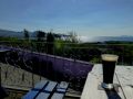 the sunnyside of irland 20130610 1025033847