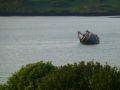 the sunnyside of irland 20130610 1043863920