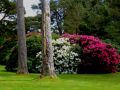 the sunnyside of irland 20130610 1094308098