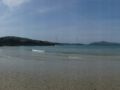the sunnyside of irland 20130610 1118032706