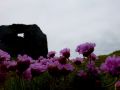 the sunnyside of irland 20130610 1267732050