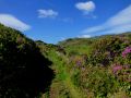 the sunnyside of irland 20130610 1419550814