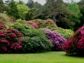 the sunnyside of irland 20130610 1439155409