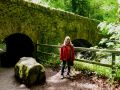 the sunnyside of irland 20130610 1440850678