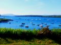the sunnyside of irland 20130610 1814771385