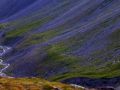 bikespass 20130826 1896064285