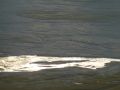 fun 20130729 1867397754