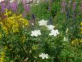 glarnerland 20130826 1351099112