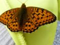 glarnerland 20130826 1855658306