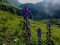 glarnerland 20130826 1910192163