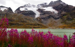 engadin, segantini und mehr