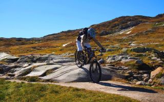 grimsel postauto-freeride