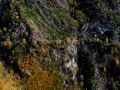 goldener herbst 20131029 1058563287