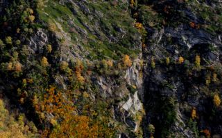 wallis , suonenweekend