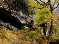 goldener herbst 20131029 1230137624