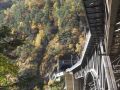 goldener herbst 20131029 1250835273