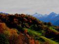 goldener herbst 20131029 1571366834