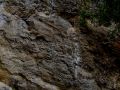 goldener herbst 20131029 1669657810