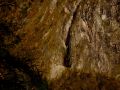 goldener herbst 20131029 1840481852