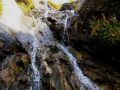 goldener herbst 20131029 2076154716