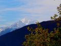 goldener herbst 20131030 1415887723