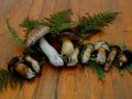 herbst 13 20131015 1216744719