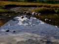 relax 20130916 2008963360