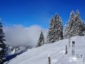endlich 20131202 1613429685