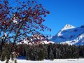 wow 20140106 1240456657