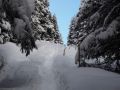 wow 20140106 1771220906