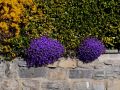 fruehling 20140322 1602946217