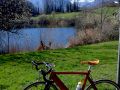 fruehling 20140322 1953354312