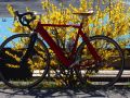 fruehling 20140322 2061685350