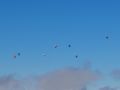 winter 20140228 1280878523