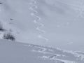 zauberhaft 20140308 1208646019