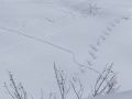 zauberhaft 20140308 1404436016