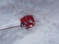 zauberhaft 20140308 1797322012