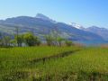 fruehling 20140425 1142464028