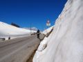 primavera 20140407 1095535974