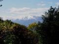 primavera 20140407 1207825641