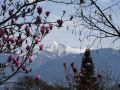 primavera 20140407 1338914815
