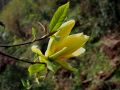 primavera 20140407 1386186442