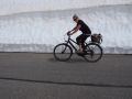 primavera 20140407 1466782588