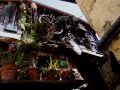primavera 20140407 1581131076